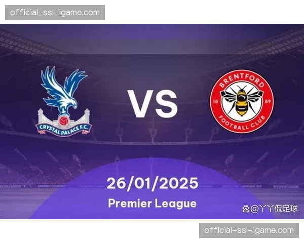 即时：布伦特福德vs水晶宫比赛因球迷突发医疗状况暂停15分钟