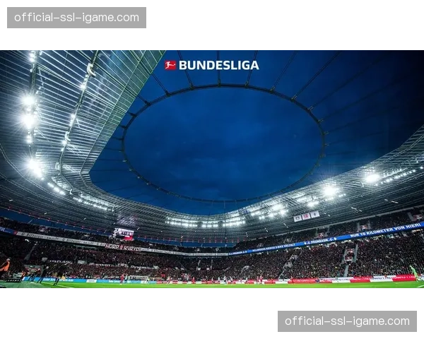 德甲中小俱乐部创新尝试，粉丝经济与市场化探索新路径